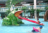 Yüzme Havuzu İçin Kurbağa Su kaydırağı Çocuk Su Oyun Ekipmanları